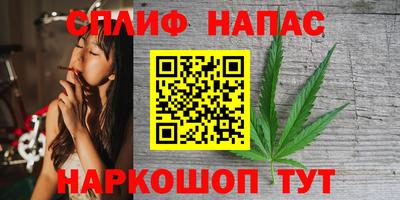 спиды Кимры