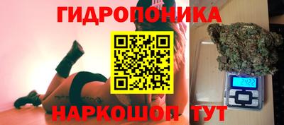 спиды Кимры
