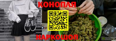 герыч Кингисепп