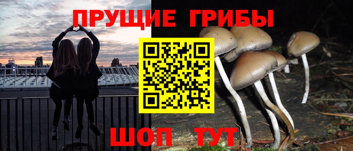 Псилоцибиновые грибы Magic Shrooms Кашира